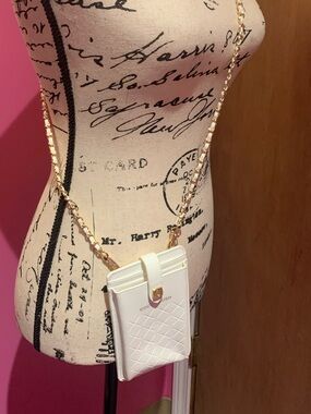Coco Crush novelty Crossbody Phone Pouch with Gold Chain